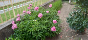 https://i.postimg.cc/Vrkd7Sww/IMG-20230602-175707-1.jpg