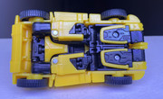 Legacy-Animated-Bumblebee-In-Hand-Images-12