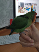 WhatsApp Image 2021-01-07 at 21.48.08