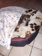 [Image: 20200609-194545.jpg]