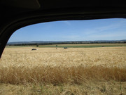 IMG-7627.jpg