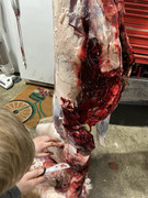 [Image: IMG-4385.jpg]