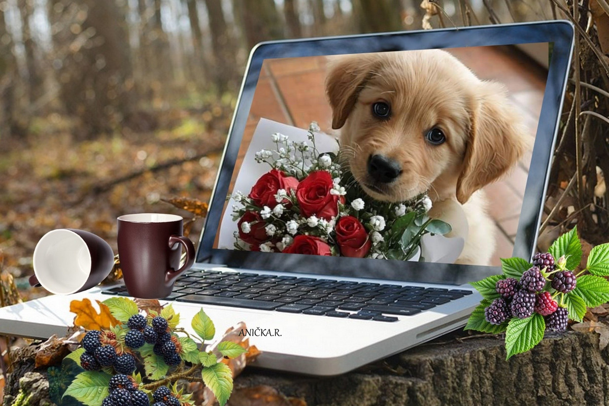 imikimi zo photo (12)