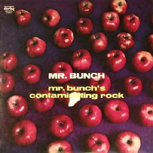 Mr. Bunch - Mr. Bunch`s Contaminating Rock (1976) Mr. Bunch - Mr. Bunch`s Contaminating Rock (1976)