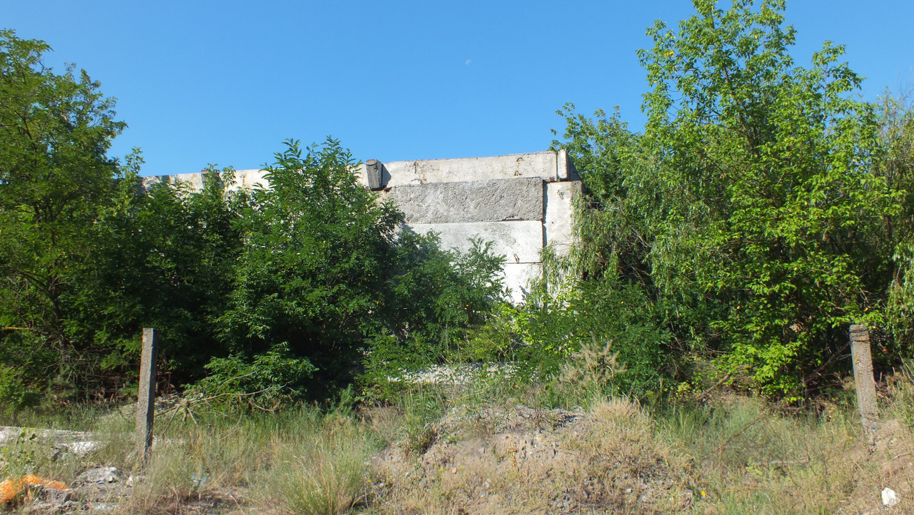 DSCF8797