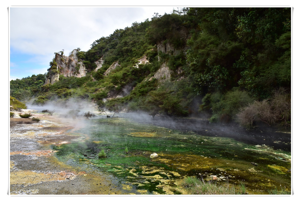 Cosas que hacer en Rotorua - Escapadas y rutas por la Nueva Zelanda menos conocida (57)