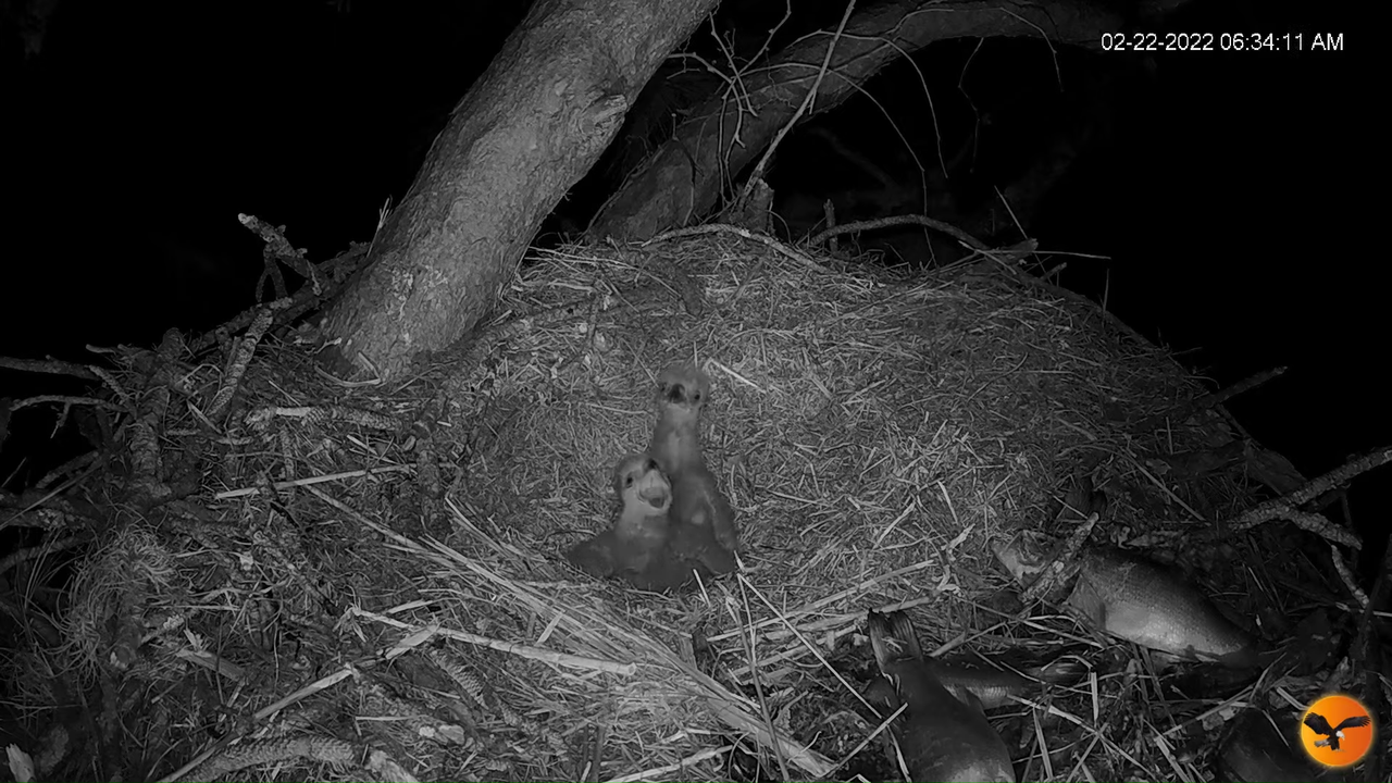 EC 4K Overhead Cam 12-47-58 screenshot