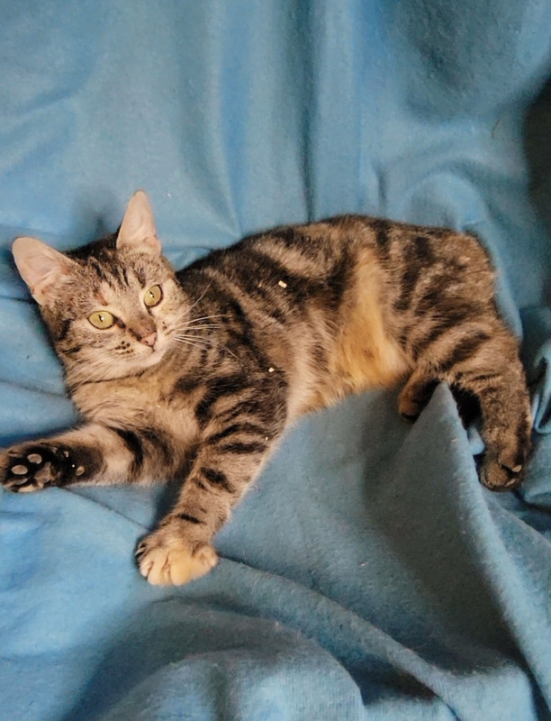 Screenshot_20241227_012649_Gallery а