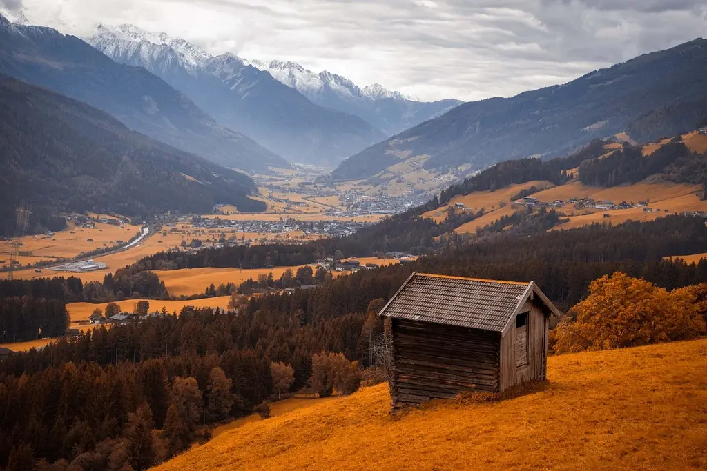 Brown-autumn-scene.webp