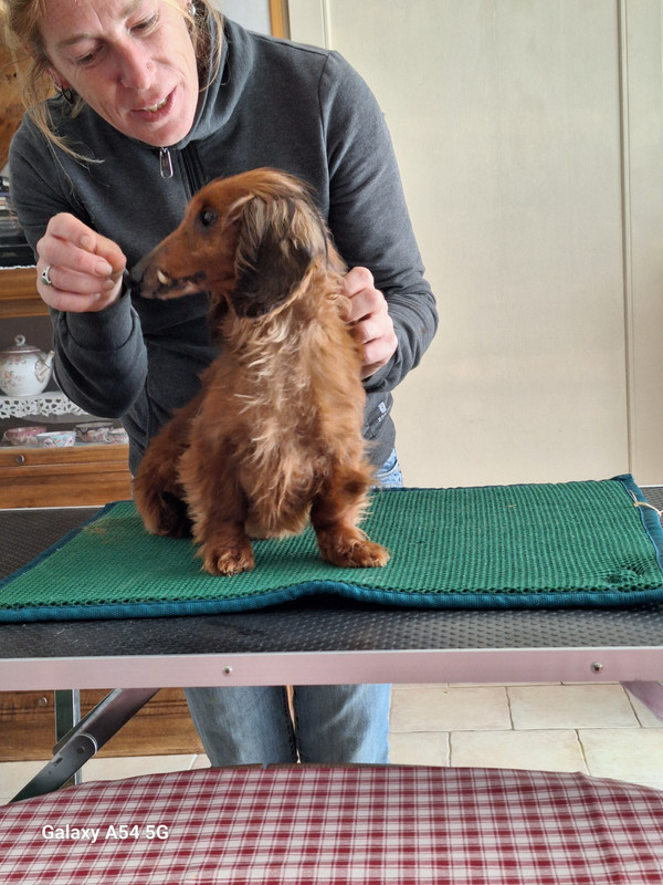 [Image: 20240702-155952.jpg]