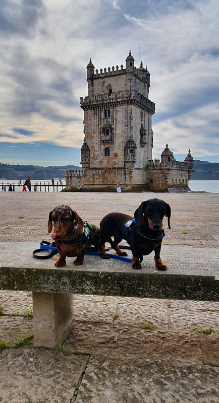 [Image: IMG-20221102-WA0004.jpg]