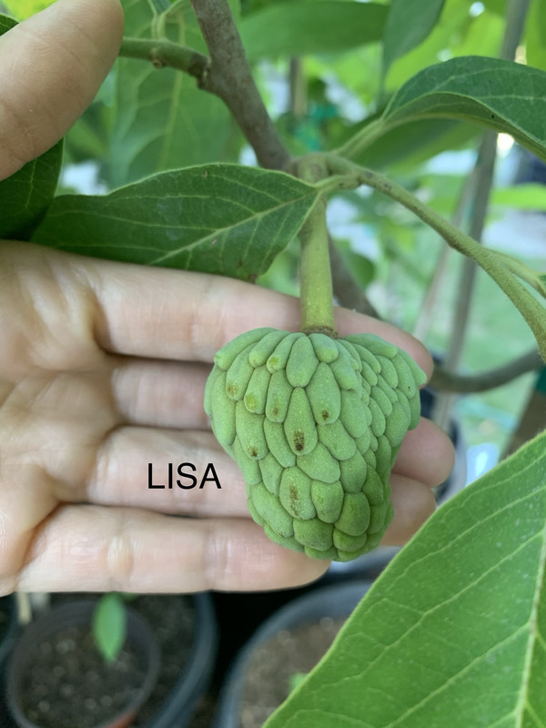 EDE54787-E618-48CA-9008-CC93B50B92E5