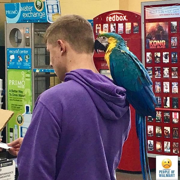 Спятившая Америка или неадекватные покупатели американских супермаркетов