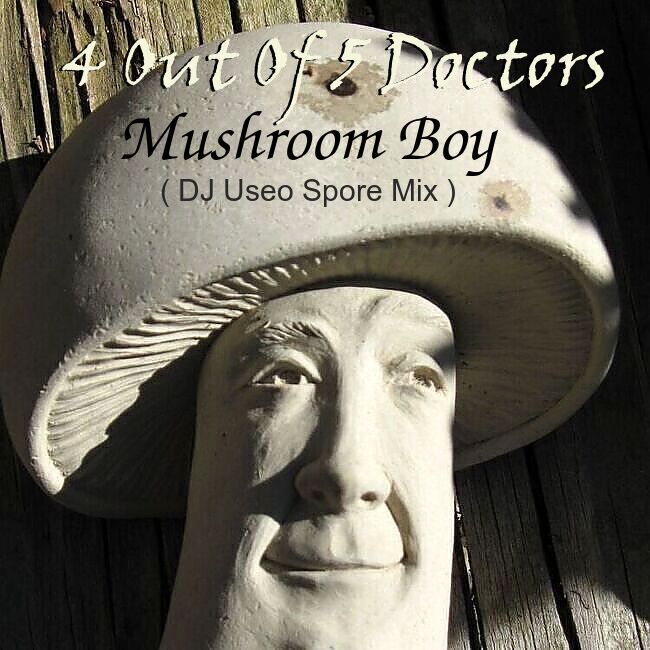 djuseo-mushroom-boy-remix.jpg