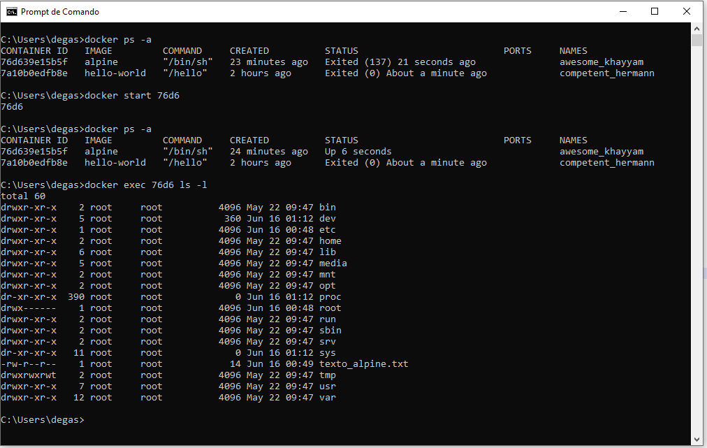 docker-start-ls.png