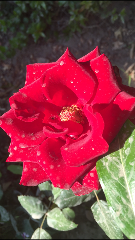 73188023-6352-4DAD-9102-90F2343DAE1D