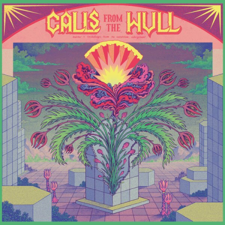 203aa9d1 4109 41aa 879d 11002bdac133 - VA - Calls from the Hull Vol II (Another 11 recordings from the Rotterdam Underground) (2023)