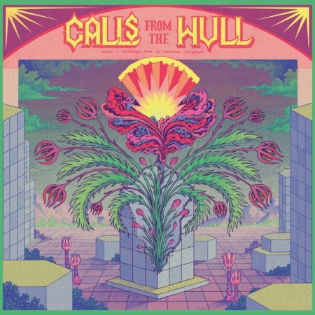 VA - Calls from the Hull Vol II (Another 11 recordings from the Rotterdam Underground) (2023)