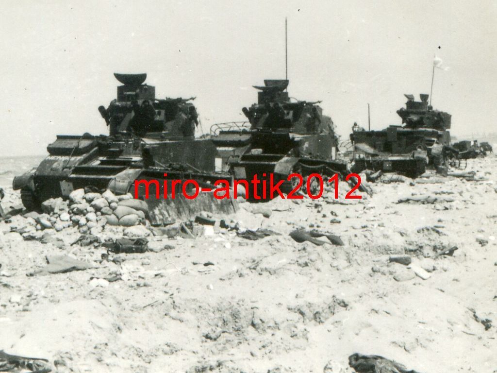 Foto, Wehrmacht, zerstörte Panzer, Light Tank Mk