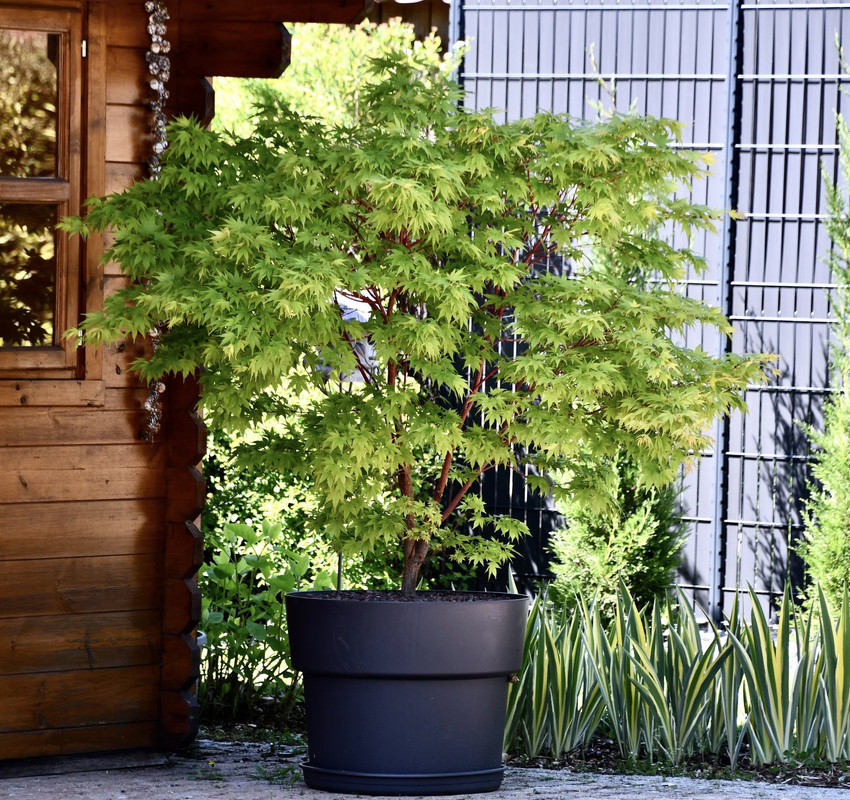 6A643786-9331-42CA-B555-EC733DE17913_1_201_a