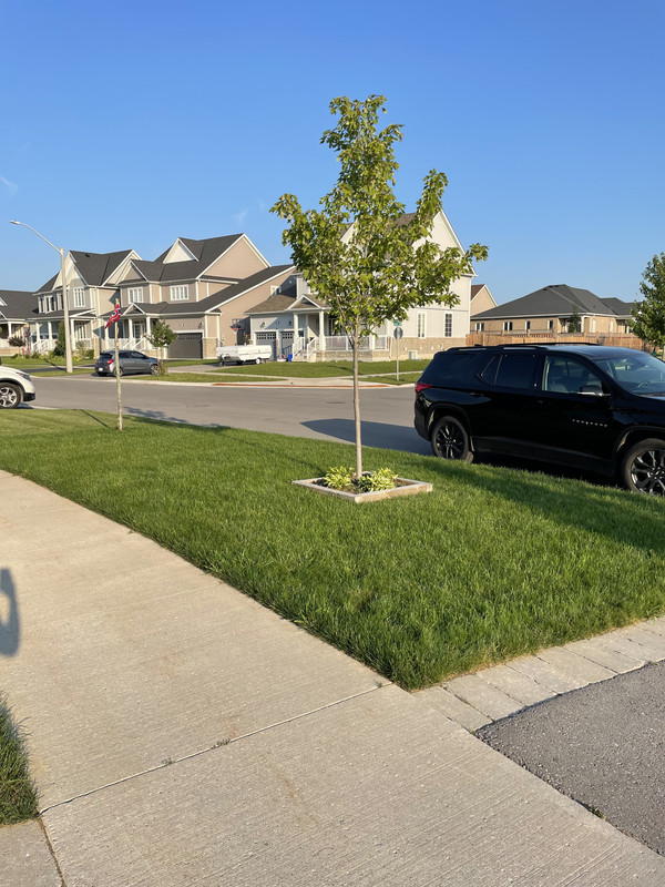 8ADC0613-15FA-4BCC-B7FA-4EA264E99558