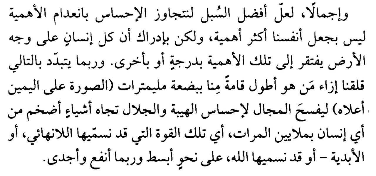 قلق السعي 29