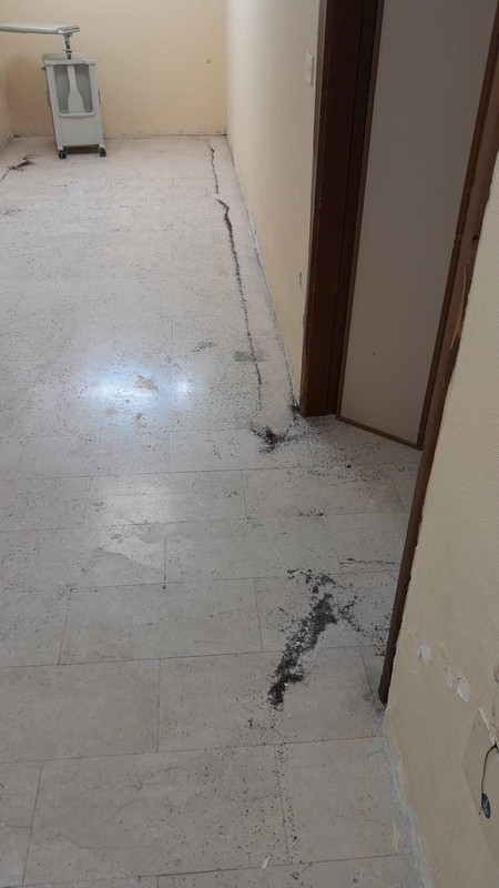 MicrosoftTeams-image (3)