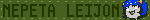 nepeta 2