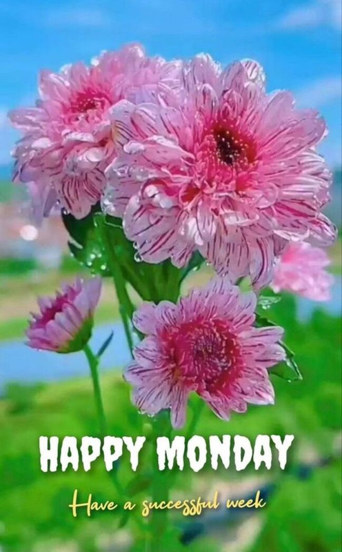 An den Beitrag angehängtes Bild: https://i.postimg.cc/Vs3Snzf8/oie-873831SSakff-C1.jpg