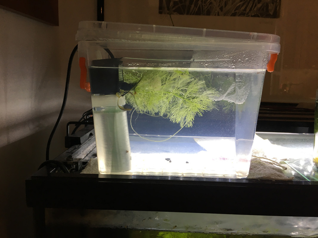 9CC1A3F2-F3F2-48E7-BB9D-49A9E3D61512