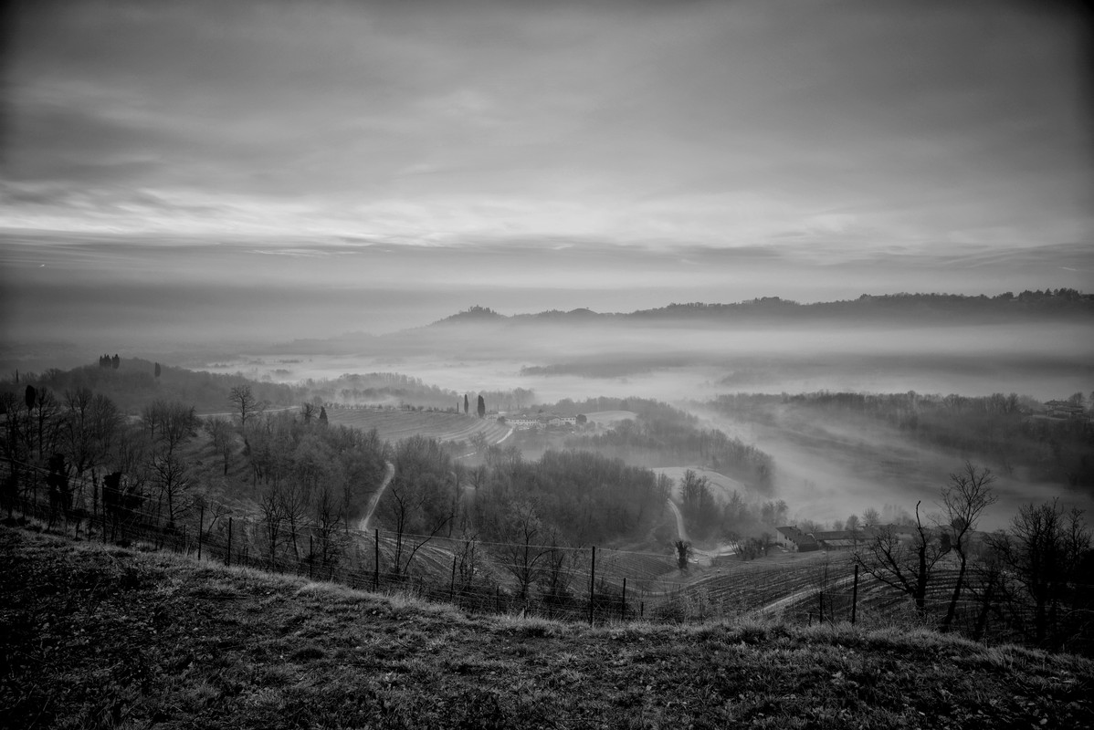 C8C7A8AB-6236-4FE4-AEF7-1431766D3EA5