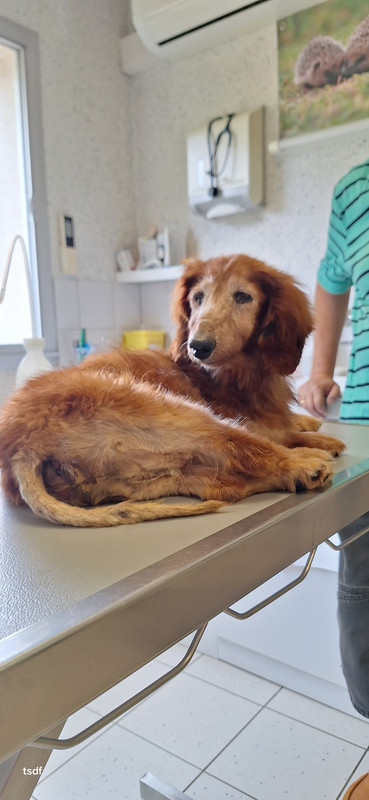 [Image: 20250719-142704.jpg]