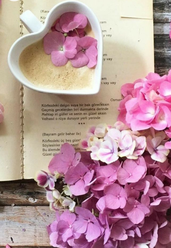 Screenshot_20230129_234039_Chrome