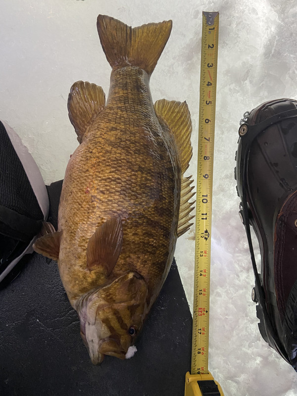 0F5F8DD9-0019-4F11-9472-845AAE0944A0