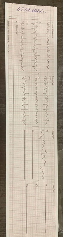 A743812A-1DCC-4CFF-AD34-9A6487765BE7