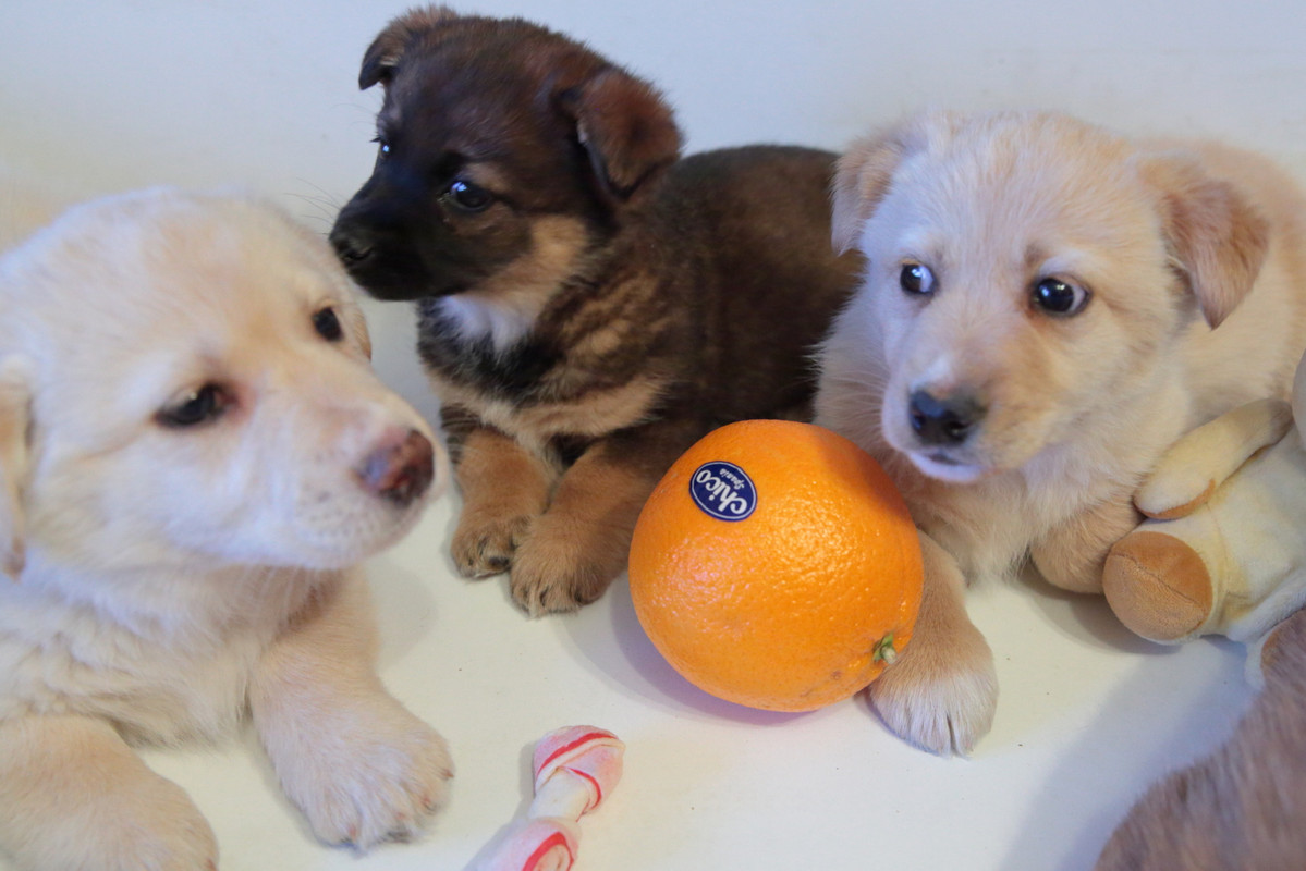 2C0DD9D4-4F8A-4054-A401-A2CC95DC9D61