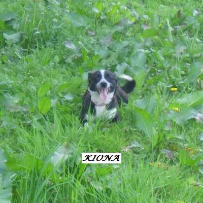 [Image: CIMG3355p.jpg]