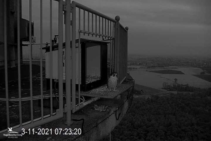 campics vanaf 1 juli © VWGGemert en bonusjes van ter plekke - Pagina 39 2