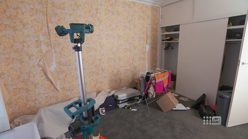 [Image: k87tjv87zodl.jpg]