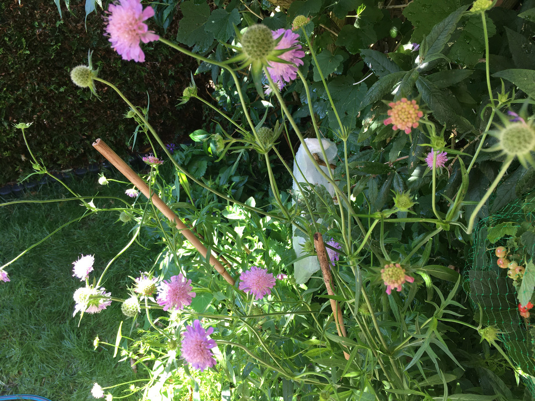 F9E7F14F-ADEA-4B02-B171-A8AC2008740B