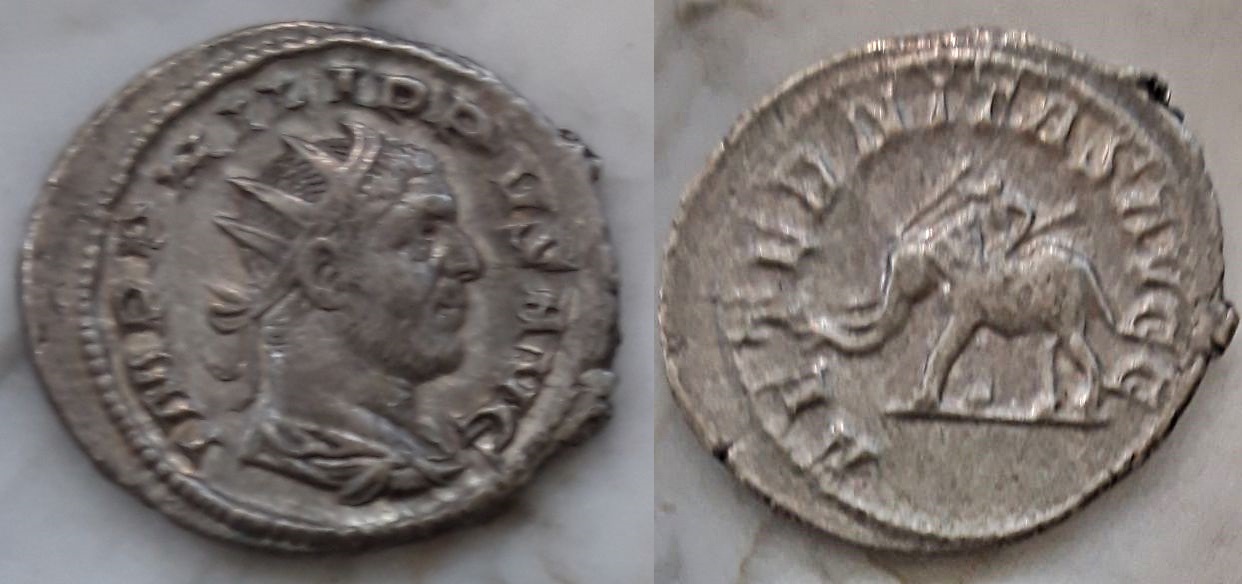 Antoniniano de Filipo I. AETERNITAS AVGG. Elefante a izq. Roma (zíngaro dedit) Filele4