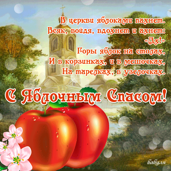 image.gif
