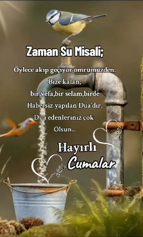 cuma