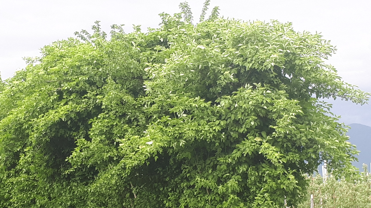 20190425_171808