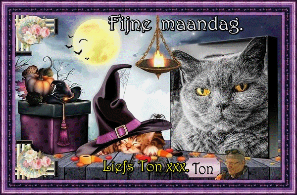 www.krabbelplaatjes.com