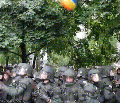 5-B654-ABF-AD7-B-4816-95-AF-CB85-C3968729.gif