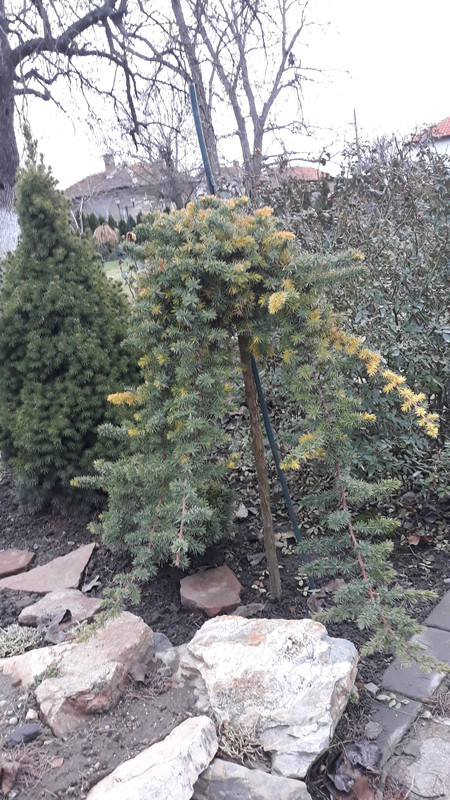 20191222_162224