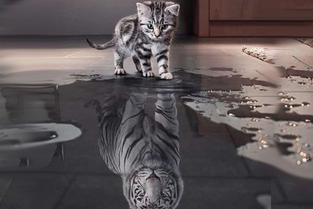 [image]
