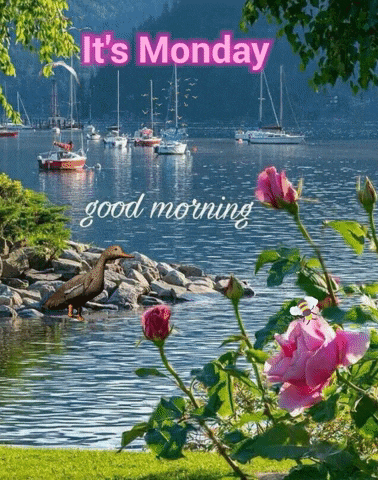 monday3
