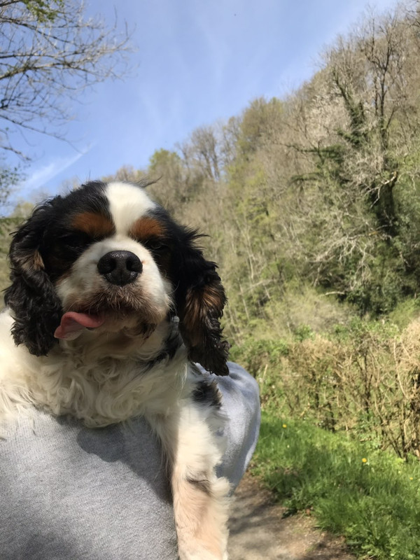 кинг на маниф1